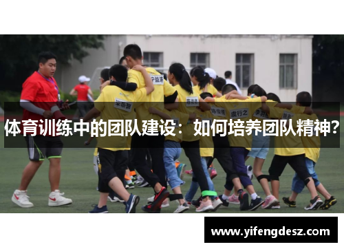 体育训练中的团队建设：如何培养团队精神？